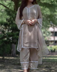 4 Piece Stitched Chiffon Embroidered Dress, SK-24 in Beige