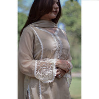 4 Piece Stitched Chiffon Embroidered Dress, SK-24 in Beige